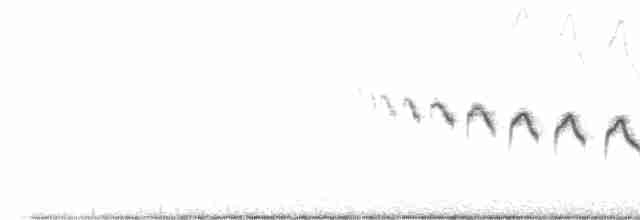 Каньонный крапивник - ML410945731