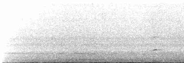 Трупіал плямистоволий - ML410967441