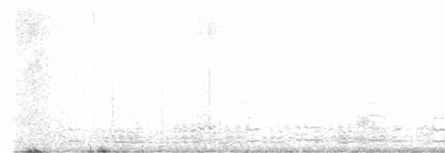 Чёрная казарка (hrota) - ML410983351
