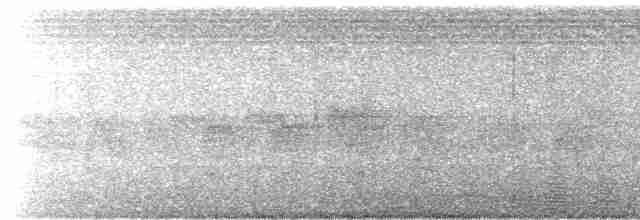 Kakameg à poitrine grise - ML411005231