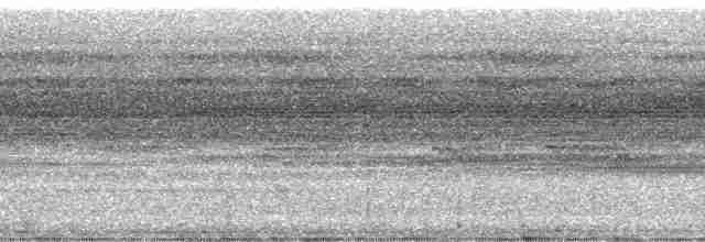 Boz Kanatlı Borazankuşu (crepitans) - ML41101