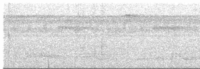 Boyalı Yerçavuşu - ML411258171