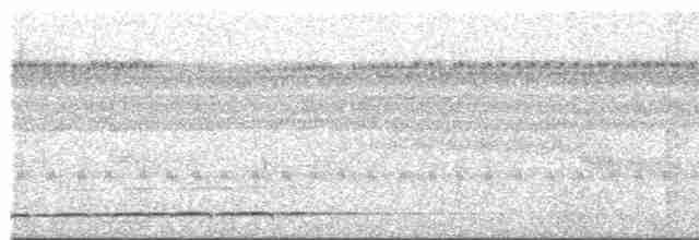 Boyalı Yerçavuşu - ML411258861