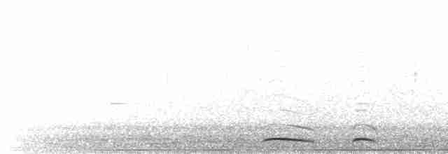 holoubek mexický - ML411338311