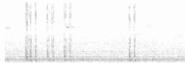 Chouette rayée - ML411372401