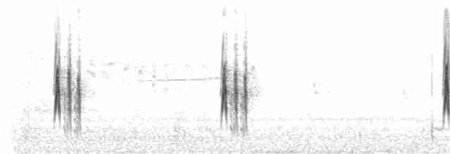 Тиранчик-довгохвіст білогорлий - ML411443411