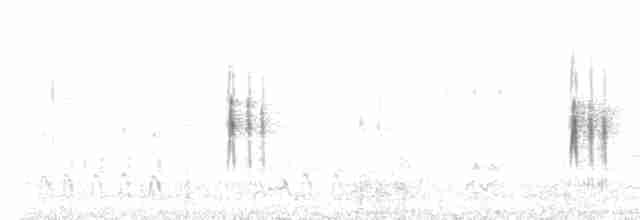 Тиранчик-довгохвіст білогорлий - ML411444231