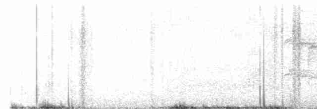 White-shouldered Fire-eye - ML411499901