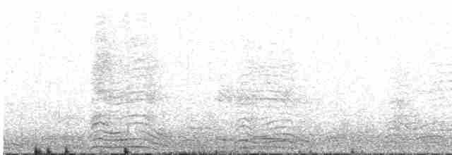 灰水薙鳥 - ML411501291