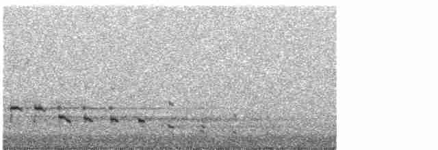 Орлан білоголовий - ML411536361