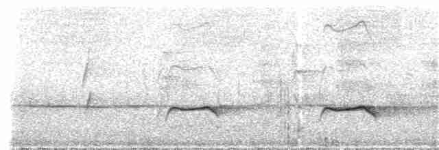 Brush Cuckoo (Australasian) - ML41154311