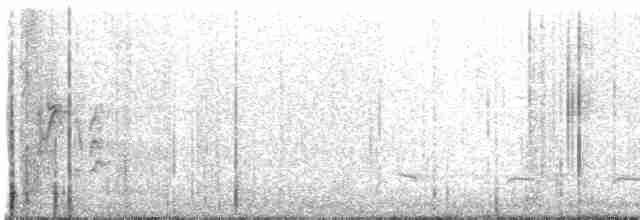 Conirostre géant - ML411579571