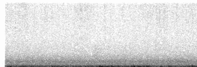 Kara Gagalı Saksağan - ML411709621