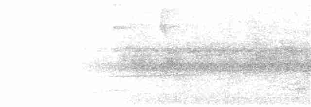 Speckle-breasted Wren - ML41180191