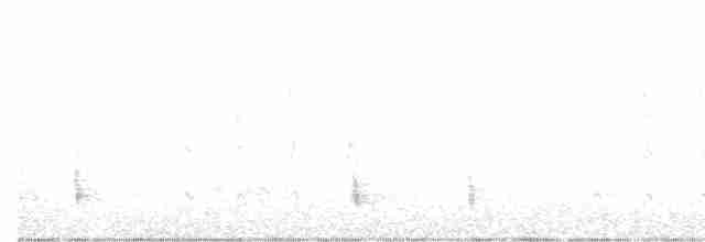 Hermit Thrush (faxoni/crymophilus) - ML411923271
