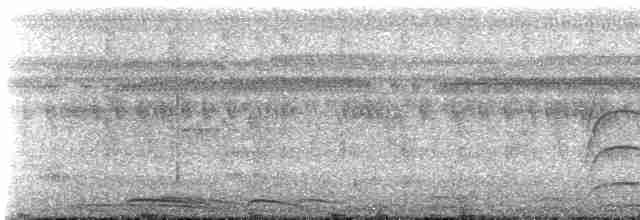 Инкская земляная горлица - ML411993571