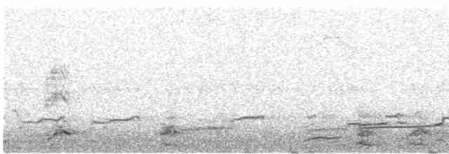 Black-crowned Night Heron - ML412021521