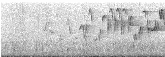Troglodyte de Baird - ML412095891