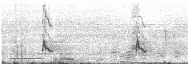 Miombo Wren-Warbler - ML41213701