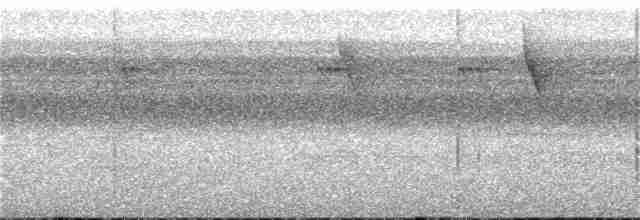 Прямоклювый колибри-отшельник - ML41220251