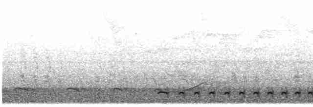 Collared Antshrike - ML412232151