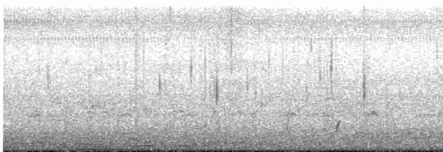 tanımsız küçük kumkuşu (Calidris sp.) - ML412284381