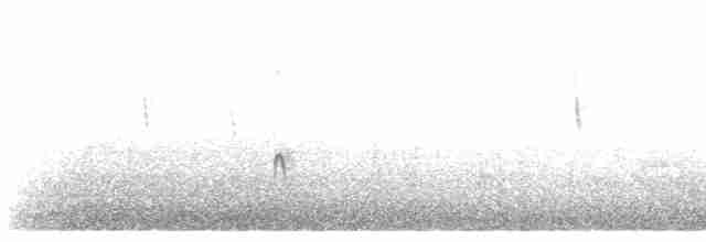 Uzun Kanatlı Kumkuşu - ML412326891