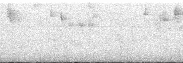Зернолуск масковий - ML41234
