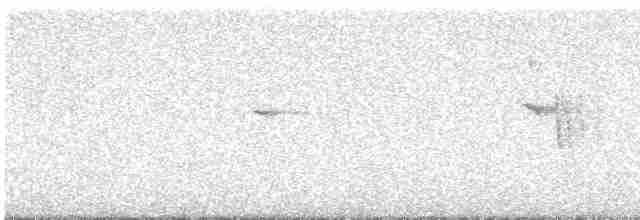 Weißbrauenschnäpper - ML412349141