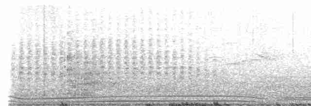 Wedge-tailed Shearwater - ML412388351