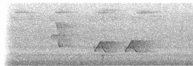 Lance-tailed Manakin - ML412425881