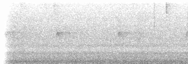 Élénie verdâtre (groupe viridicata) - ML412425931