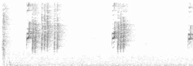 Spot-necked Babbler - ML412452921