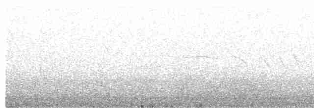 hvitkronespurv (nuttalli) - ML412456041