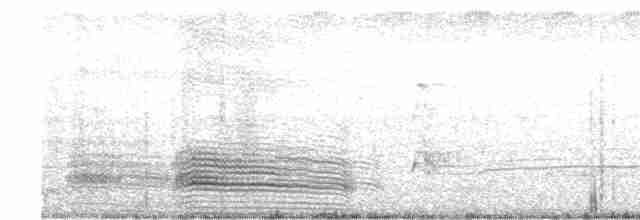 Great Egret - ML412471161