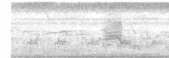 Long-tailed Shrike - ML412472151