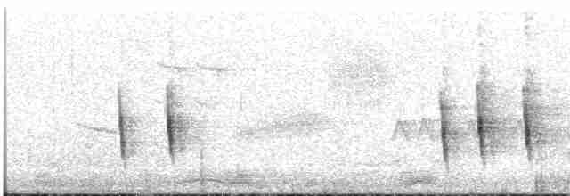Дрізд-короткодзьоб плямистоволий - ML412502431