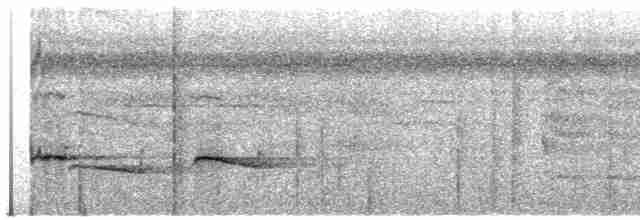 Kestane Sırtlı Karıncakuşu - ML412512601