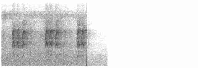 Kestane Sırtlı Karıncakuşu - ML412513171