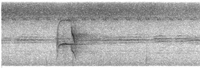 Якамара рудохвоста (підвид melanogenia) - ML412513571