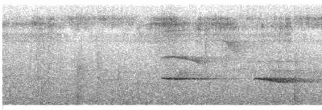 Kestane Sırtlı Karıncakuşu - ML412513631