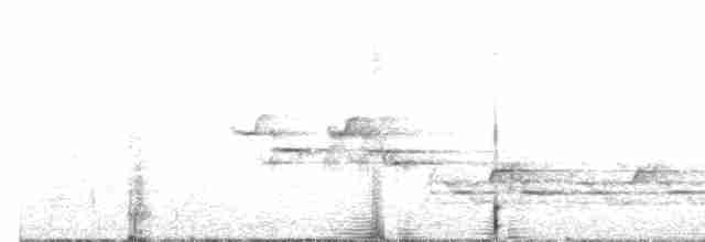 Дрізд-короткодзьоб плямистоволий - ML412636561