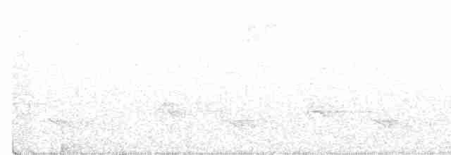 aviceda hnědohřbetá - ML412744861