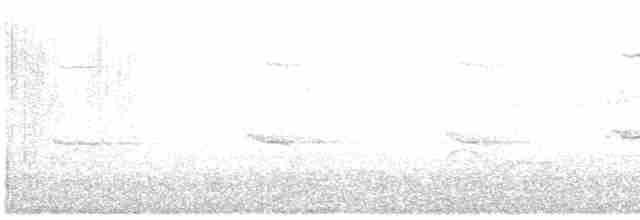 Красноспинная агуйя - ML412920471