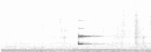 カオグロクイナ - ML413004711