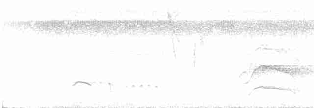 Northern White-fringed Antwren - ML413008201