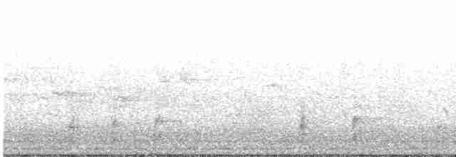 Pygargue à queue blanche - ML413047621
