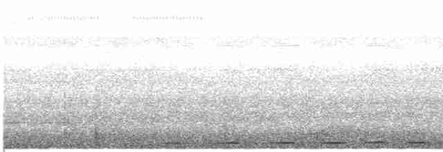Weißkehl-Ameisendrossel - ML413119311