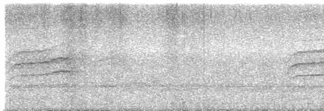 Дрізд-короткодзьоб сірий [група fuscater] - ML413233281