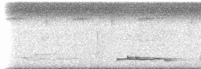 Lance-tailed Manakin - ML413236831